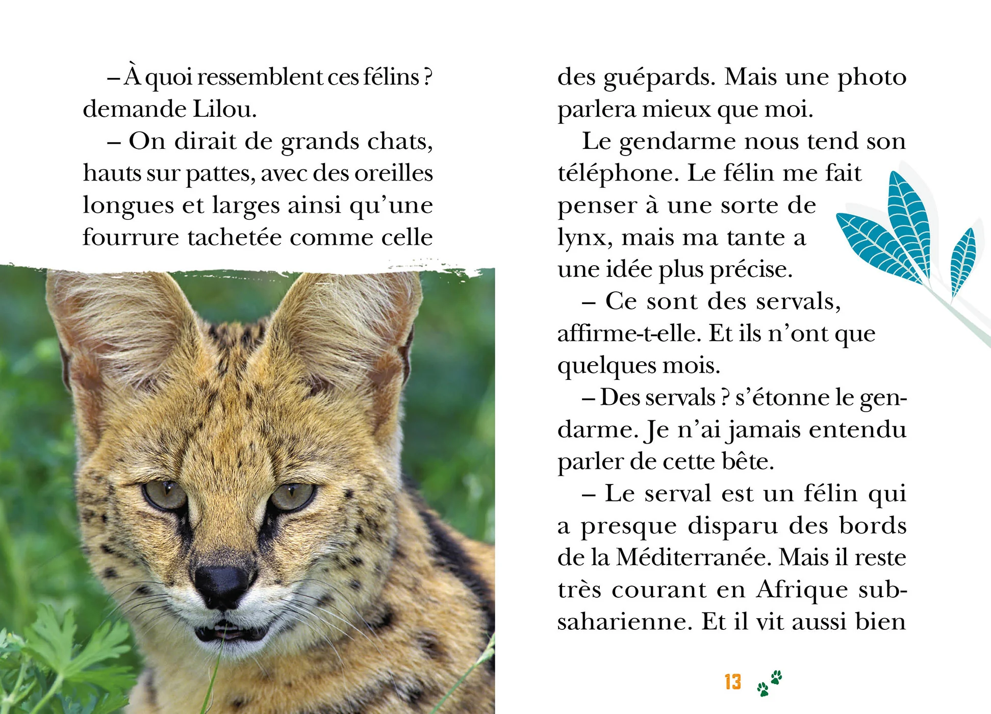 Image du produit 5
