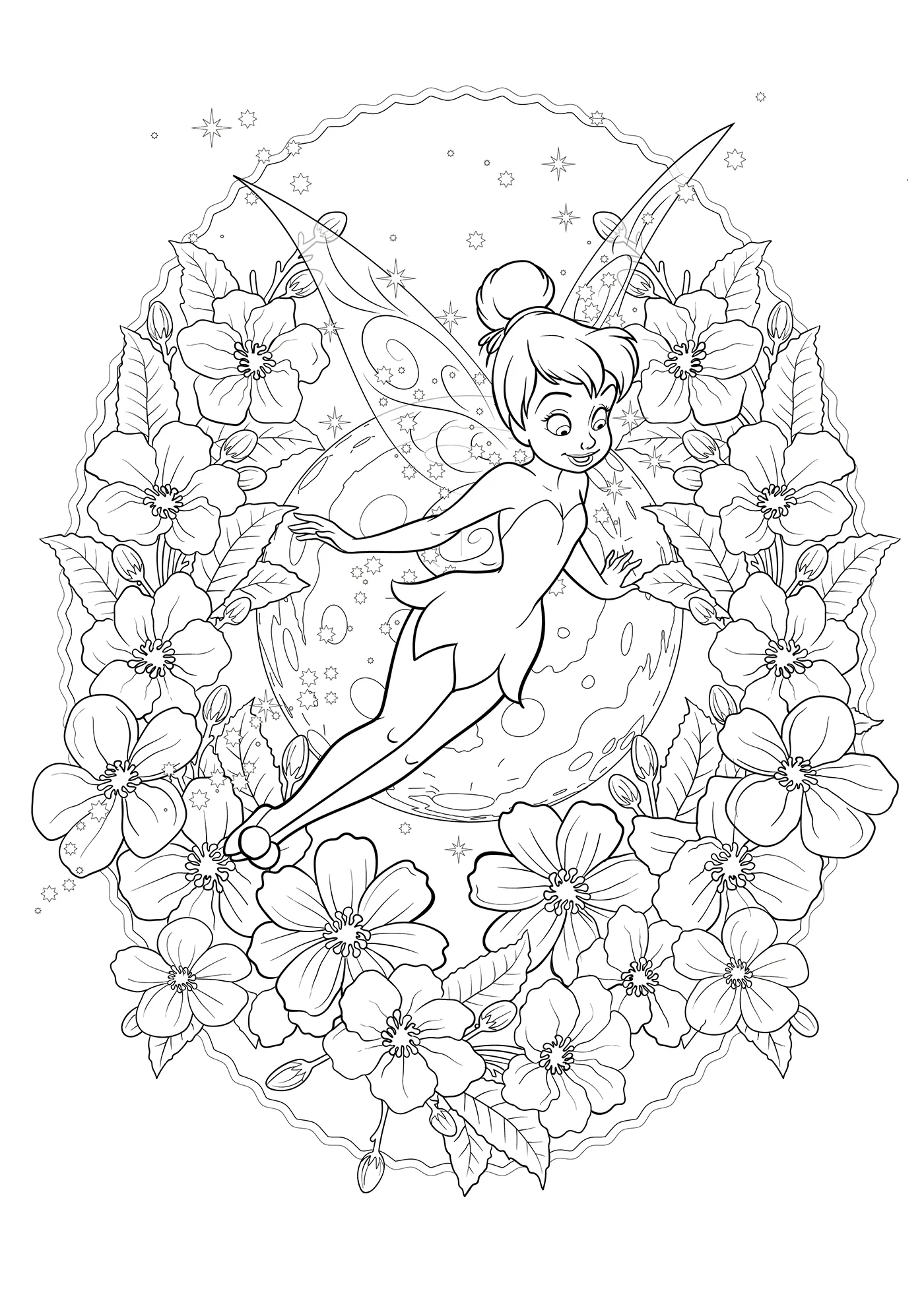 Image du produit 13