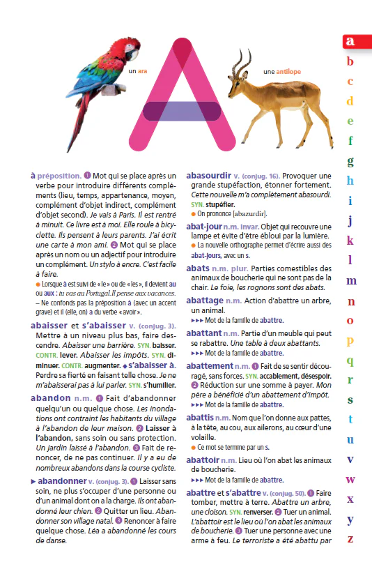 Image du produit 8
