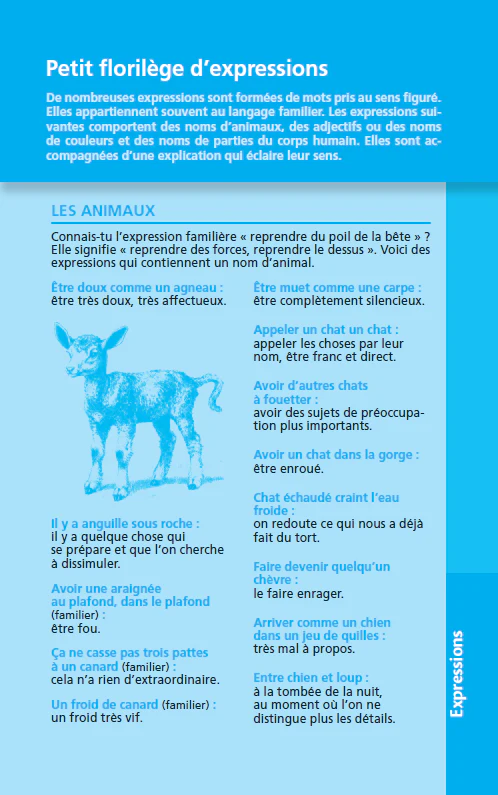 Image du produit 22