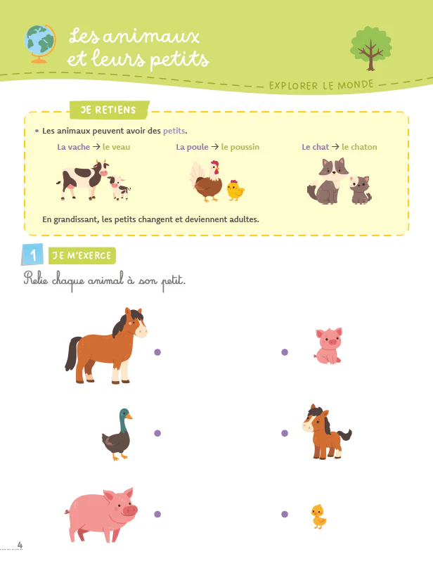 Image du produit 22