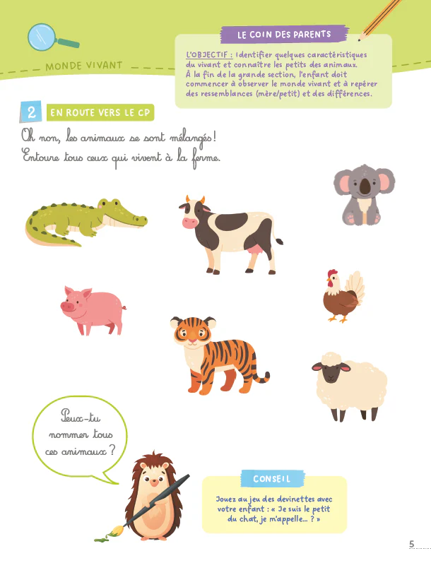 Image du produit 5