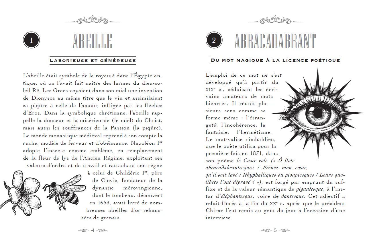 Image du produit 14