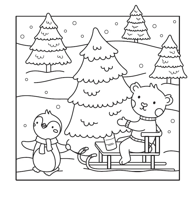 Image du produit 19