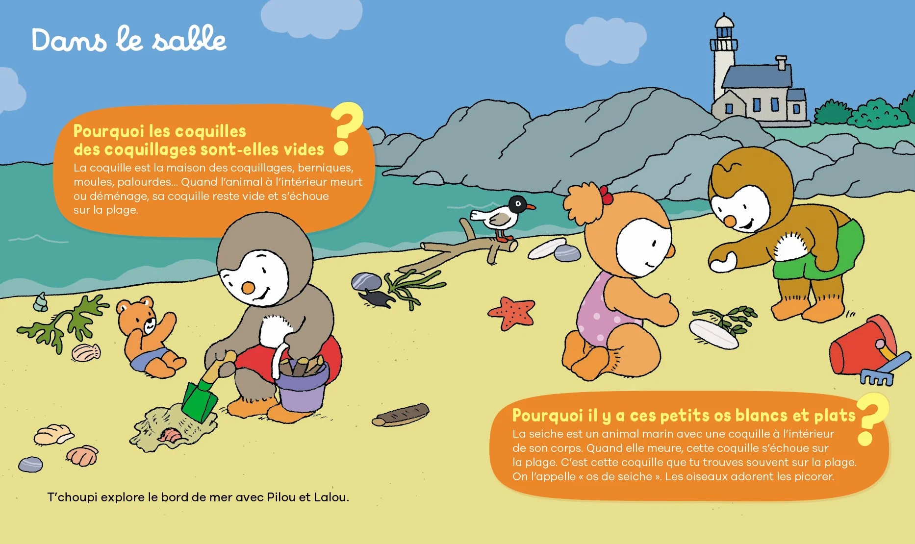 Image du produit 12