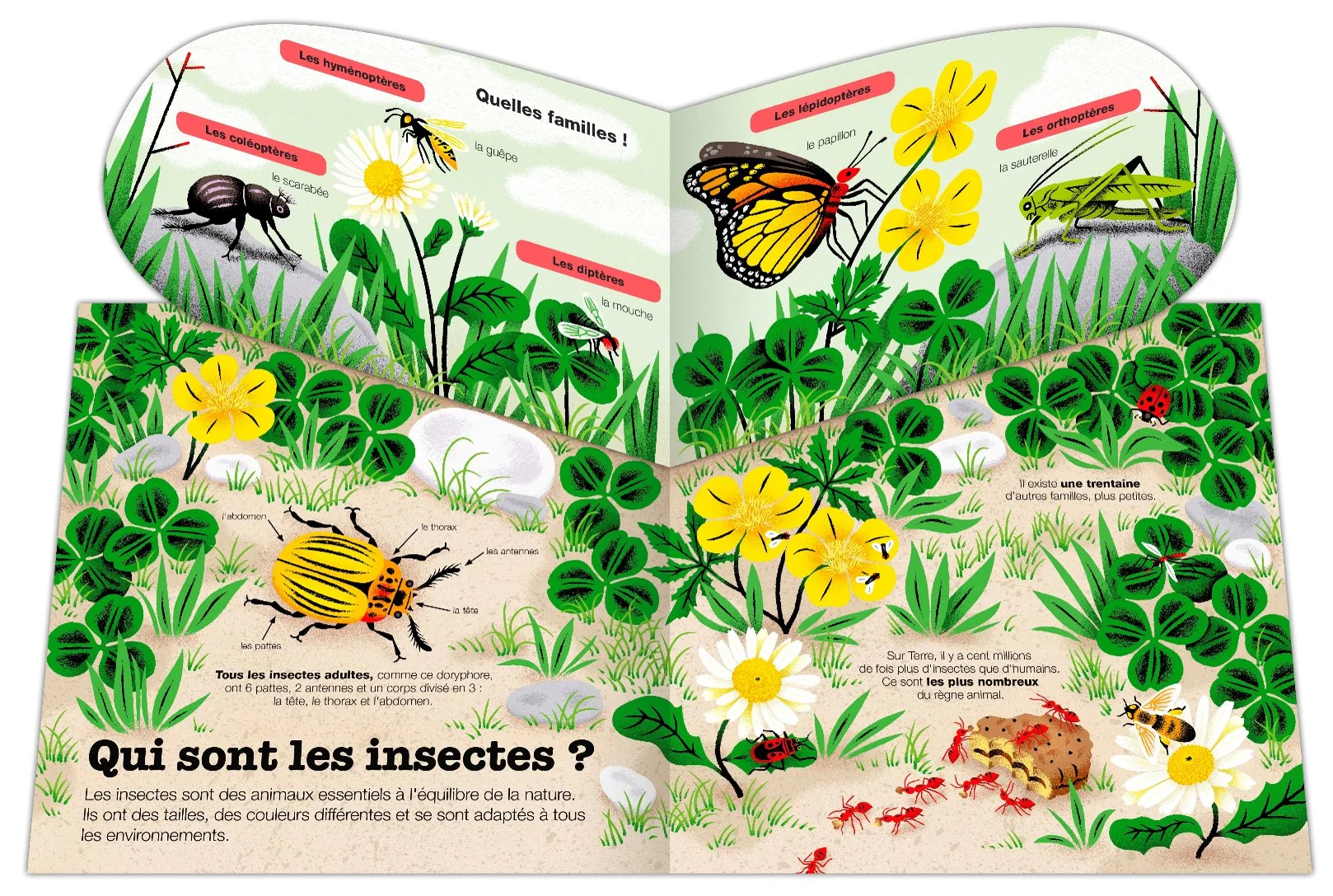 Image du produit 10
