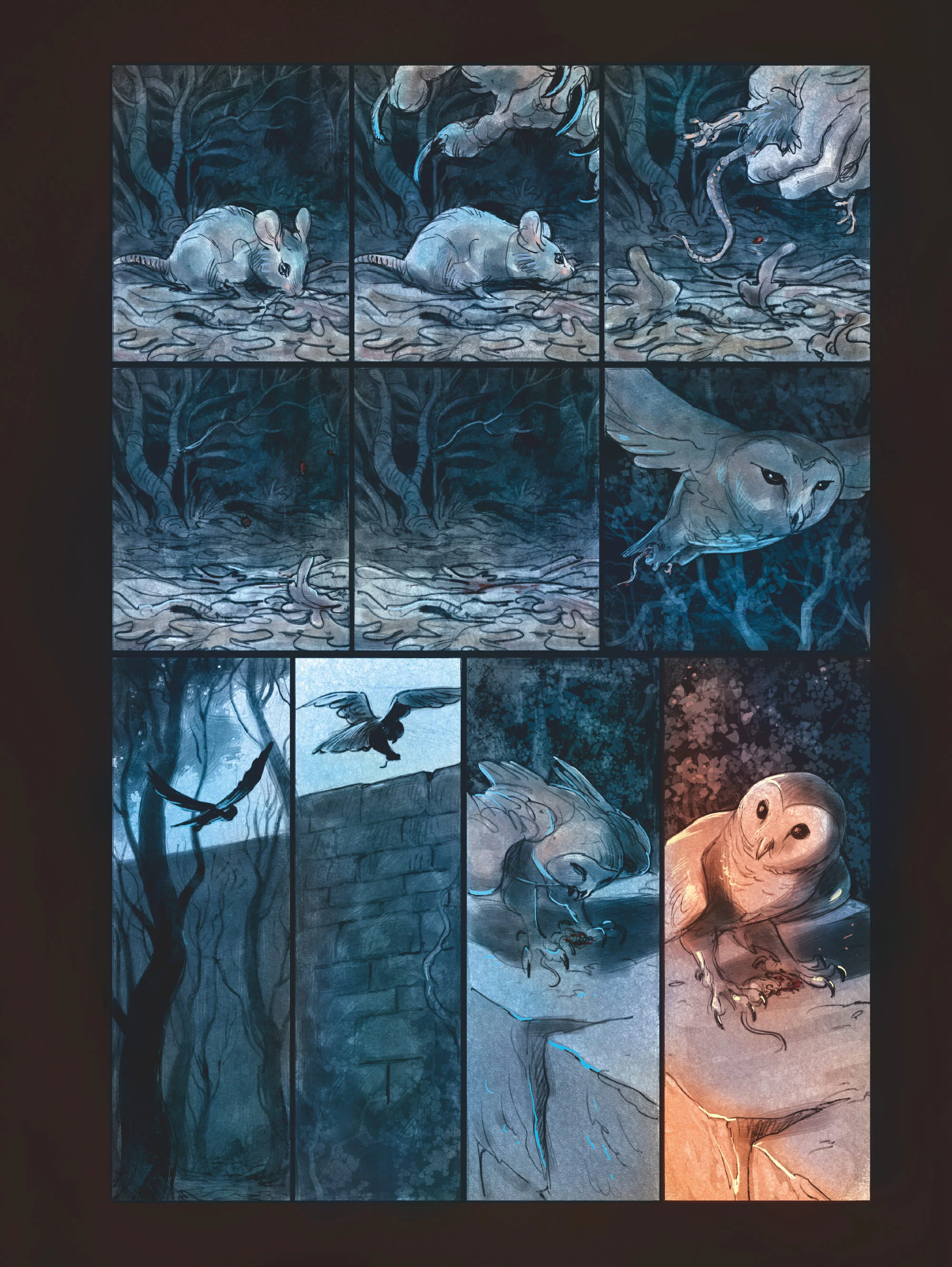 Image du produit 13