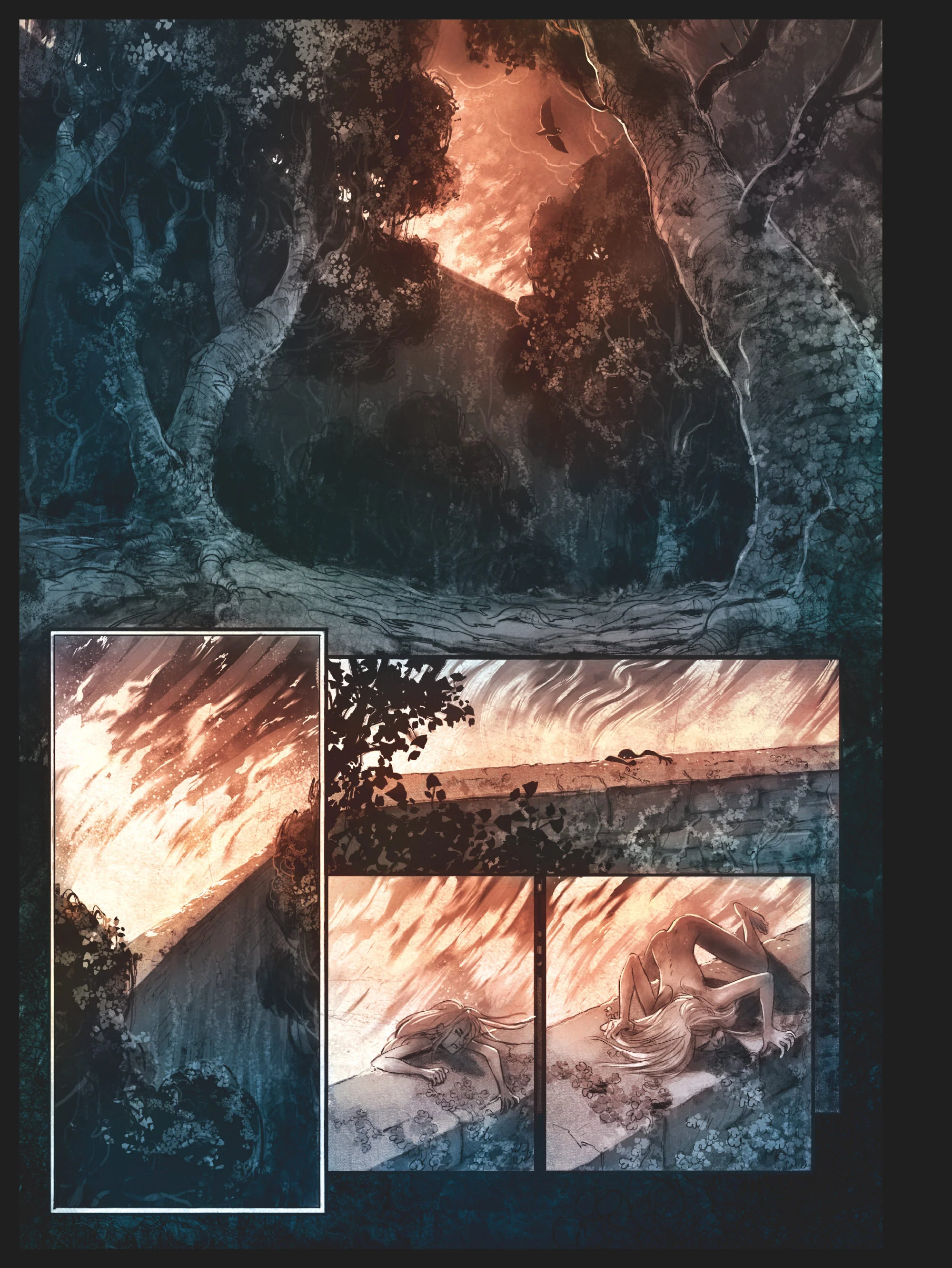 Image du produit 14