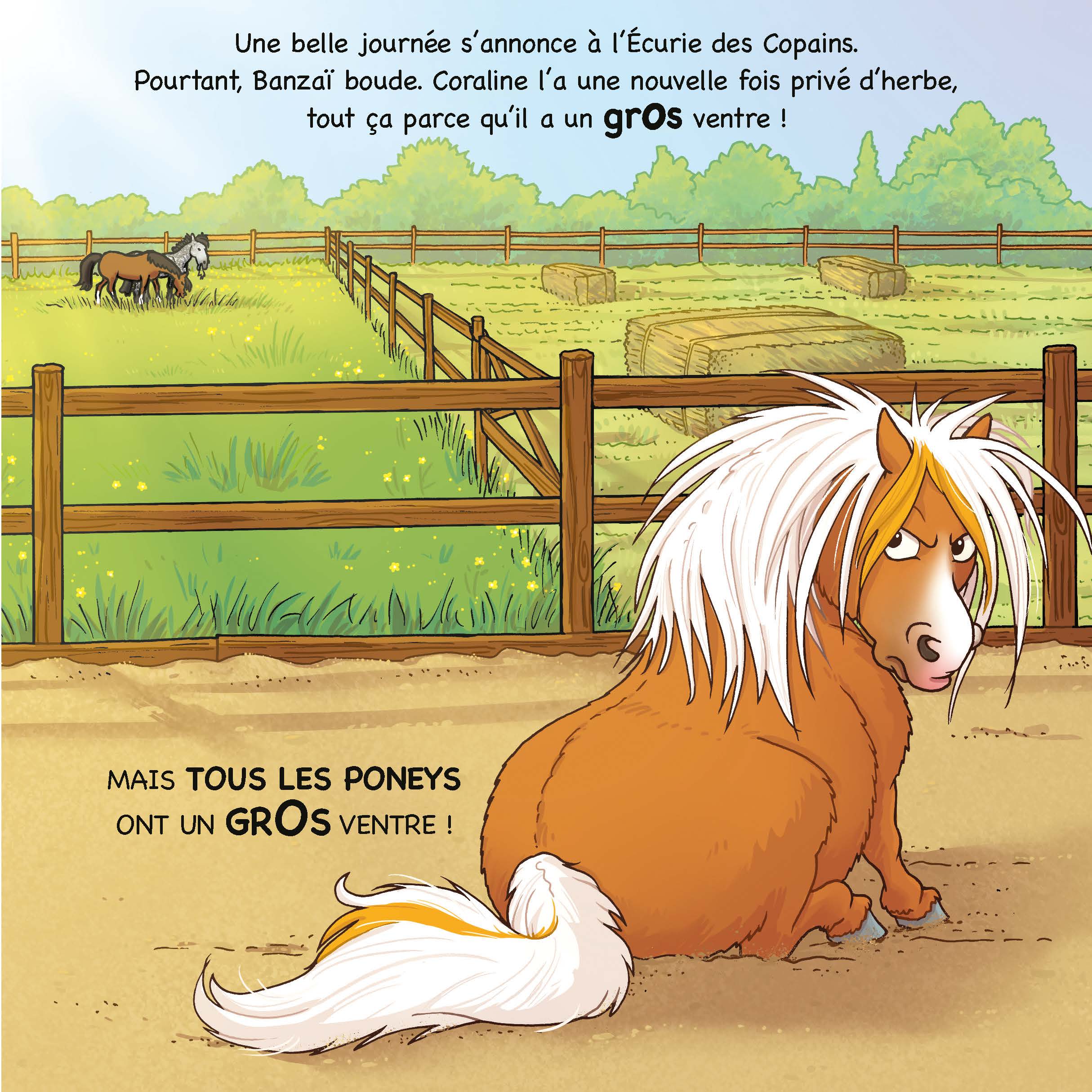 Image du produit 18