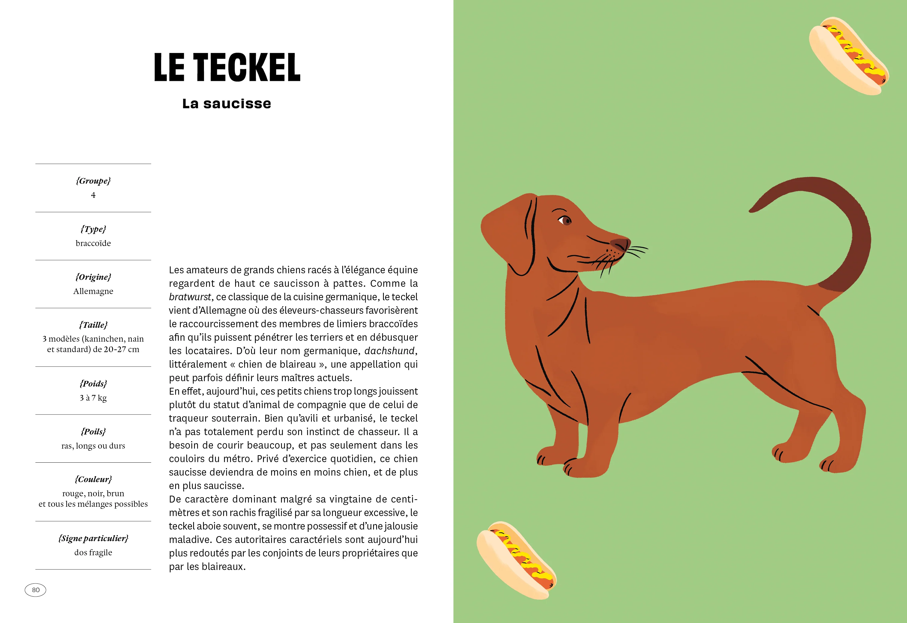Image du produit 16