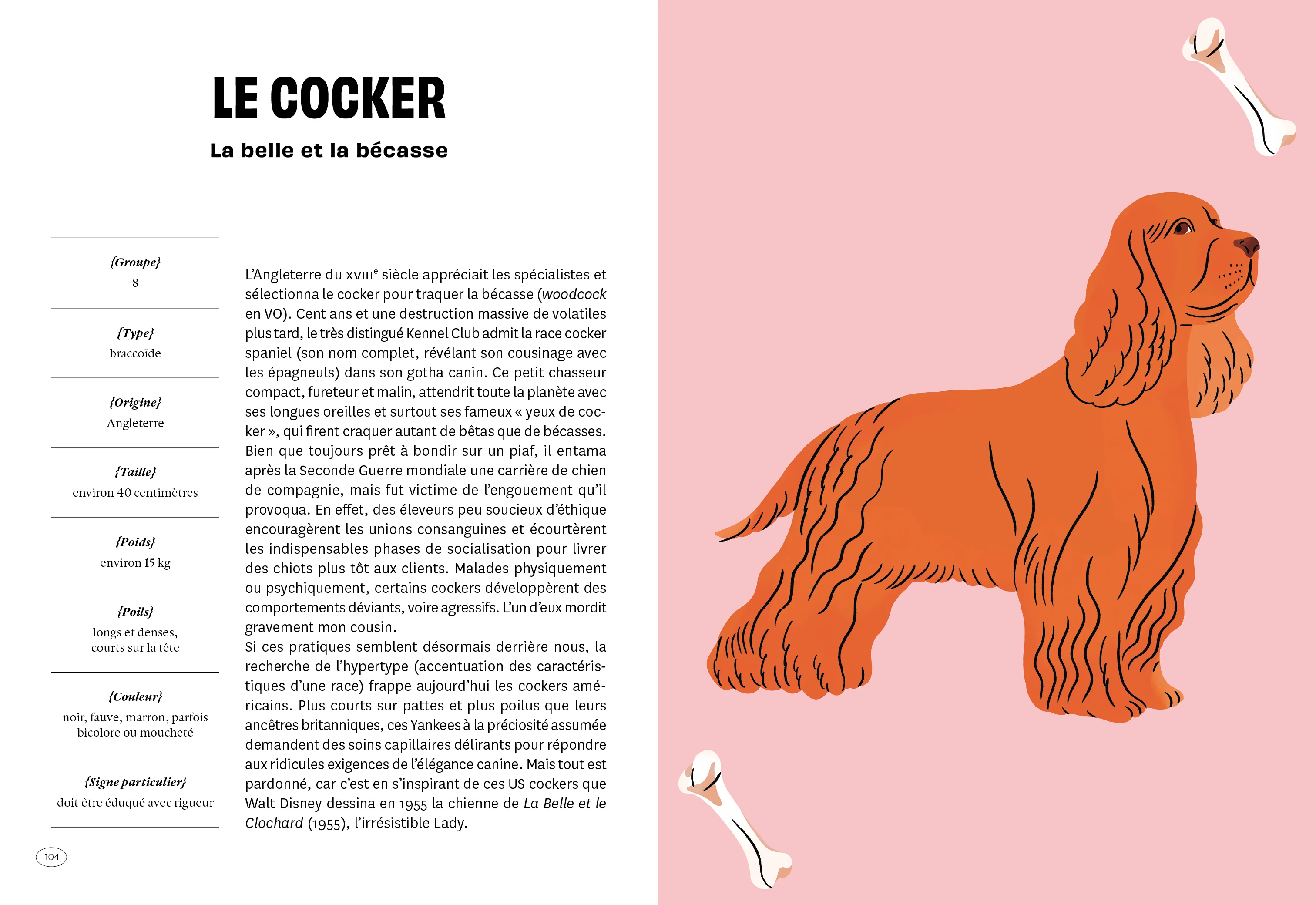 Image du produit 17