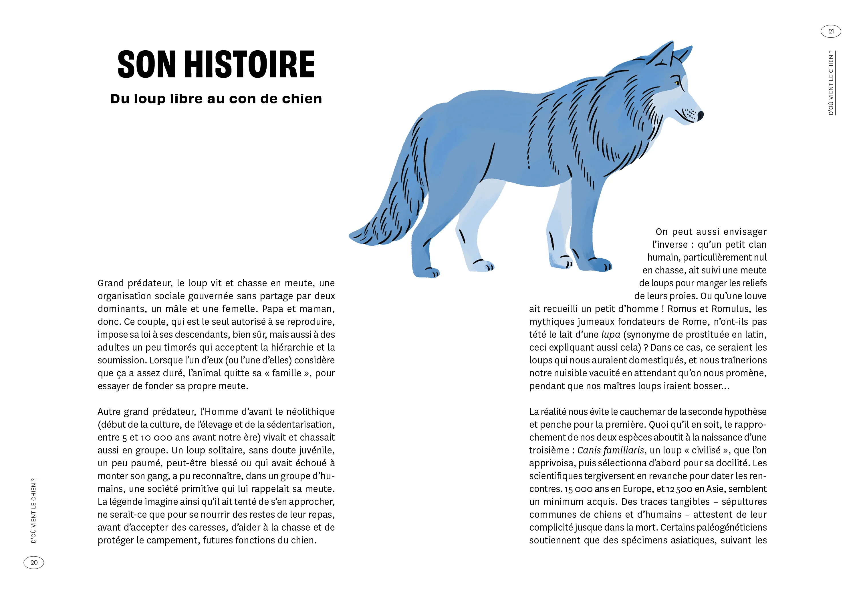 Image du produit 22