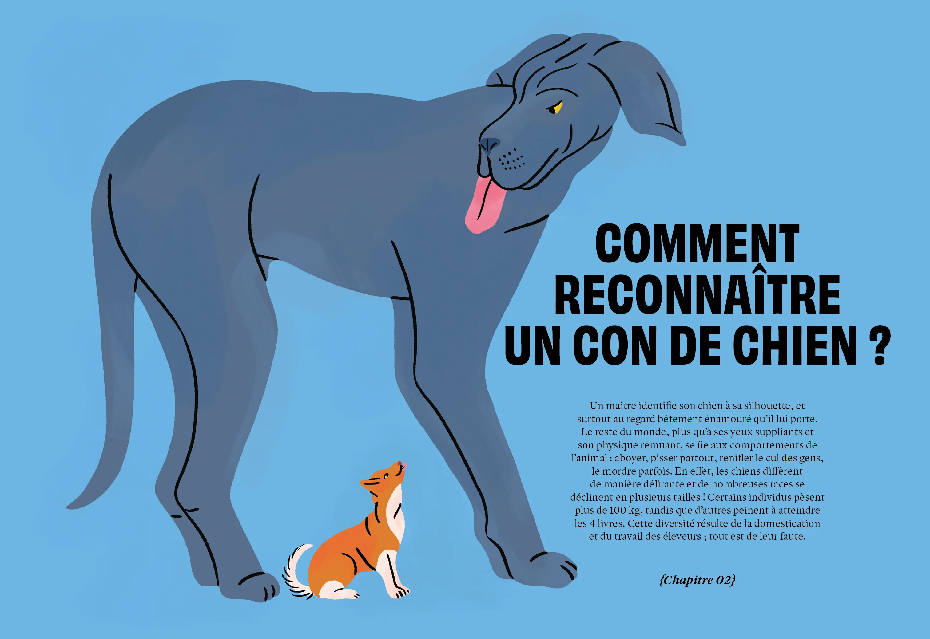 Image du produit 23