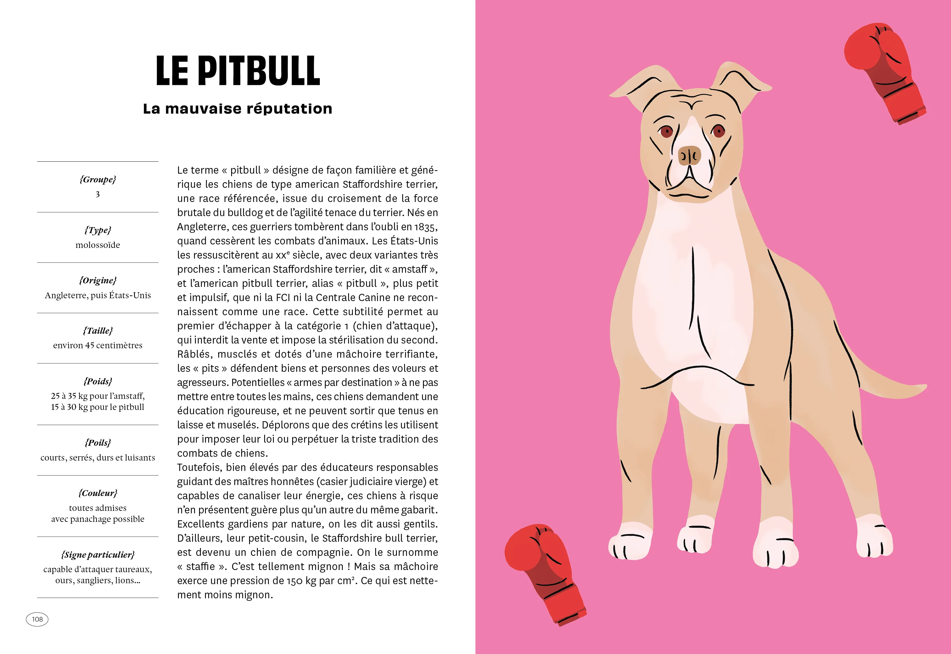 Image du produit 27