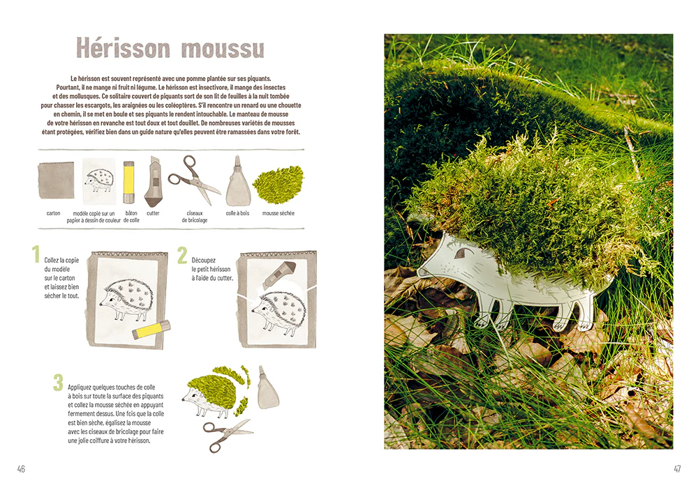 Image du produit 12