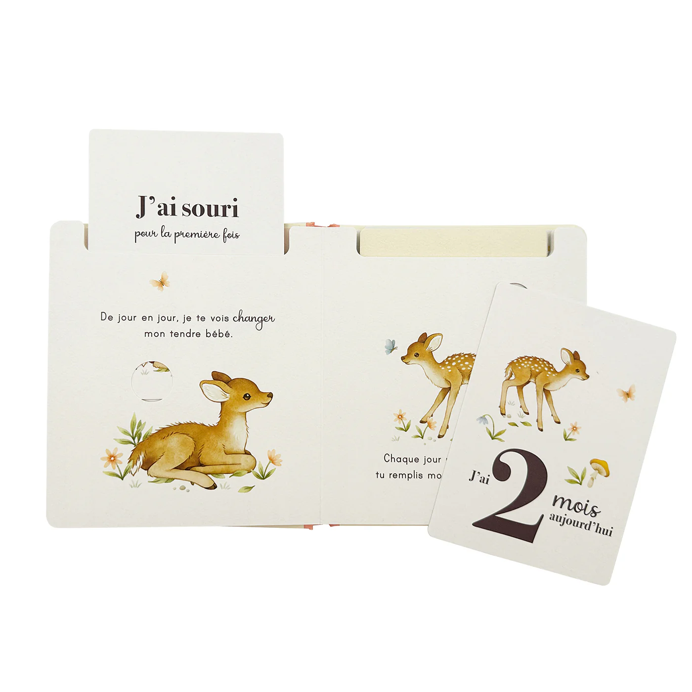 Image du produit 9