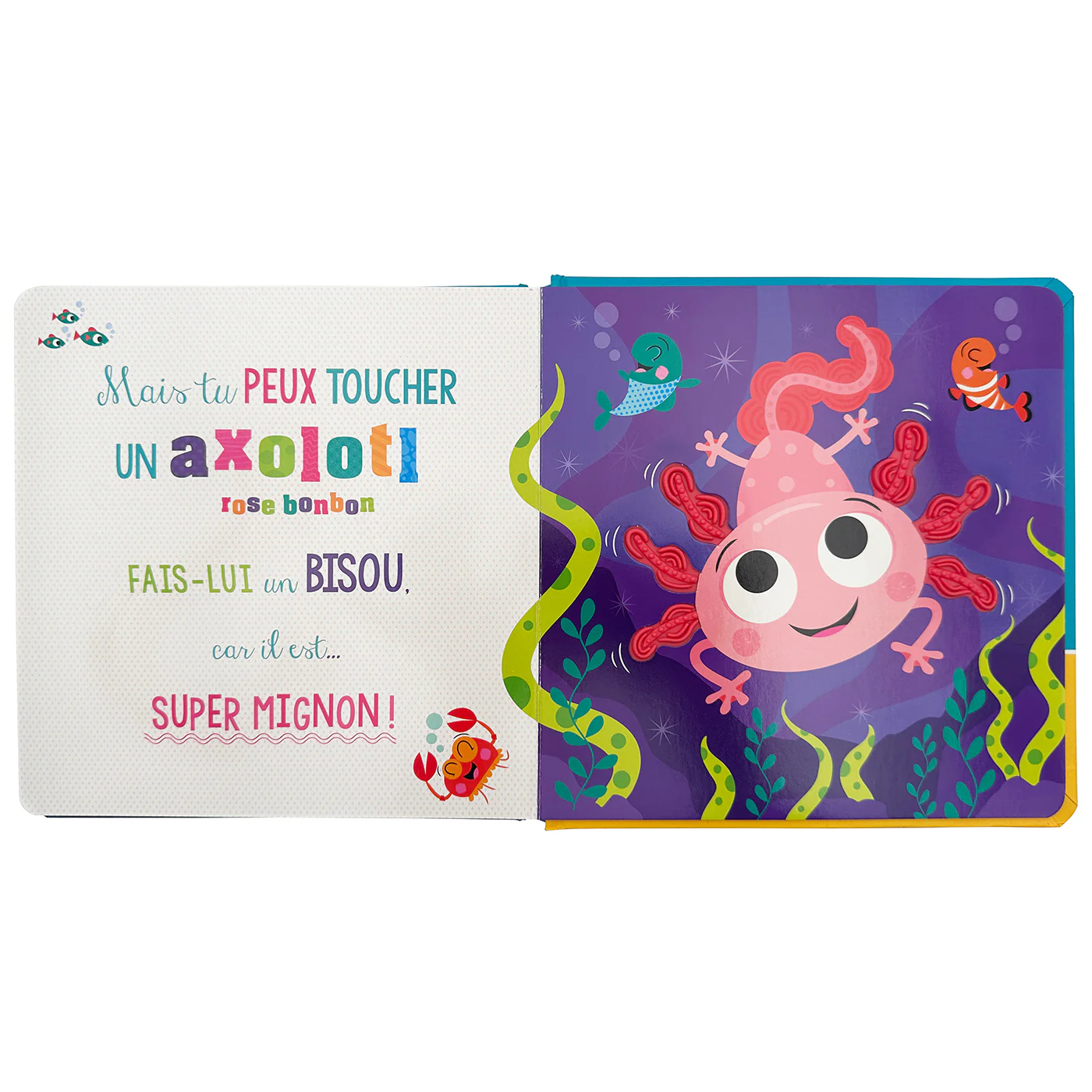 Image du produit 12