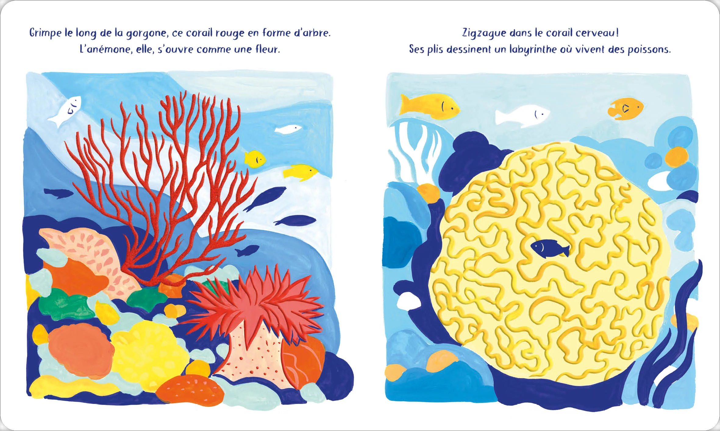 Image du produit 21