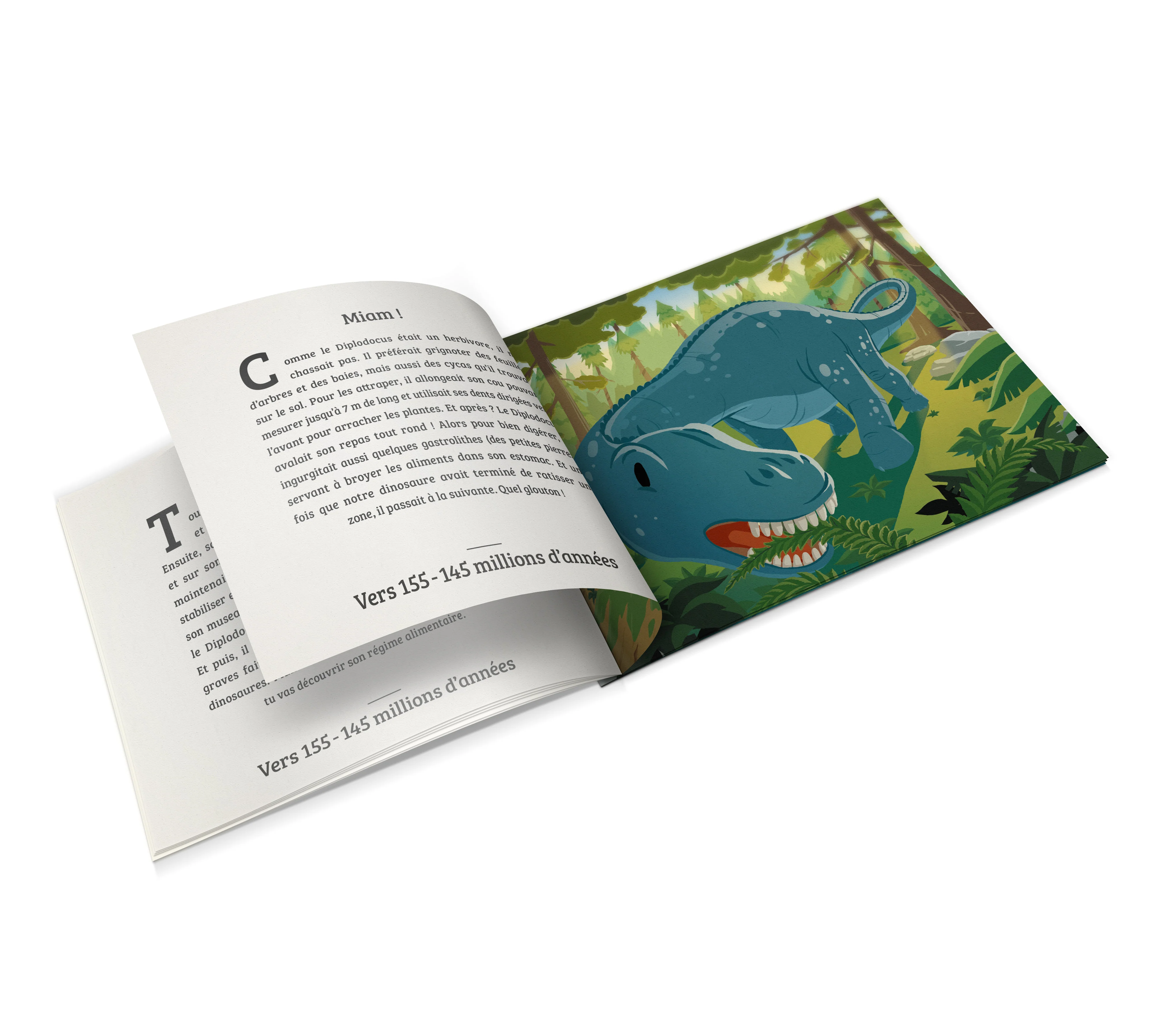 Image du produit 12
