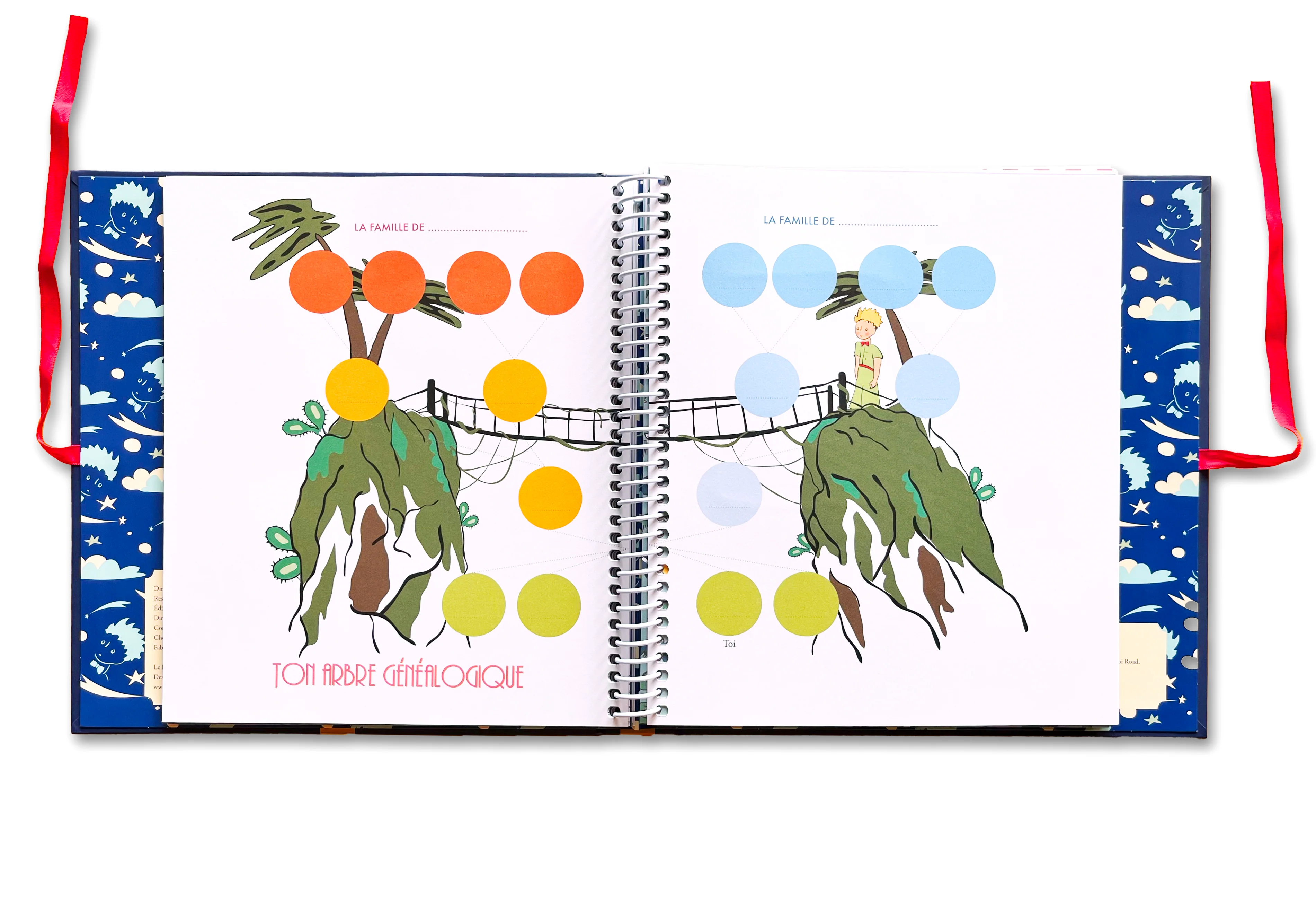 Image du produit 13