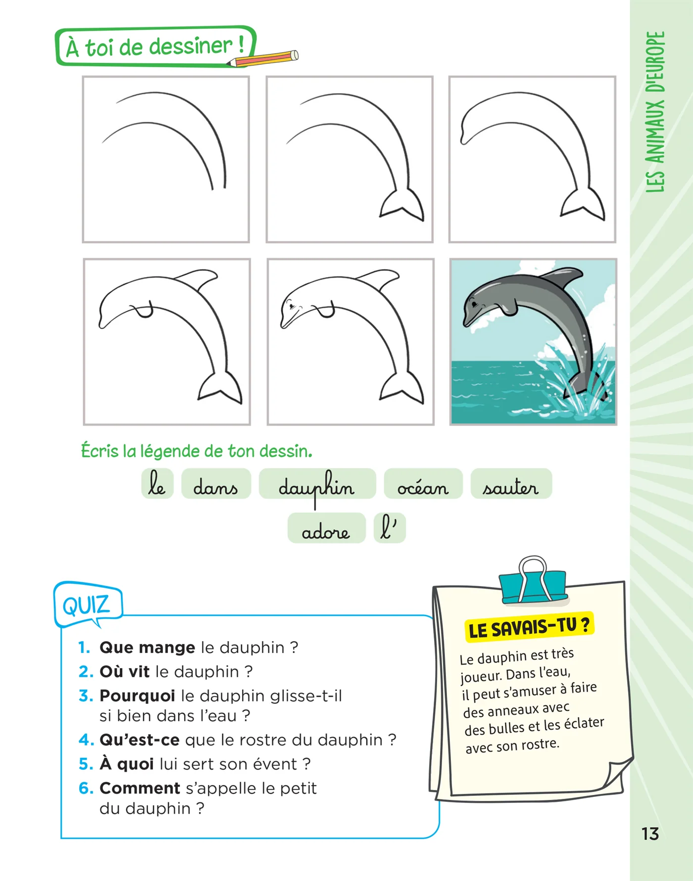 Image du produit 15