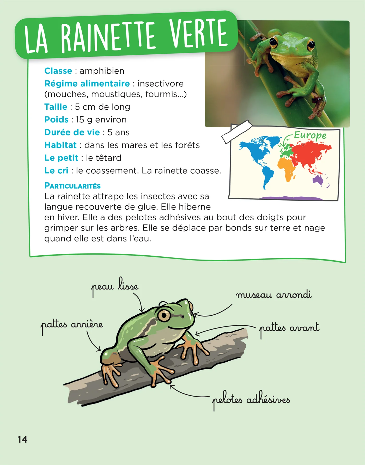 Image du produit 16