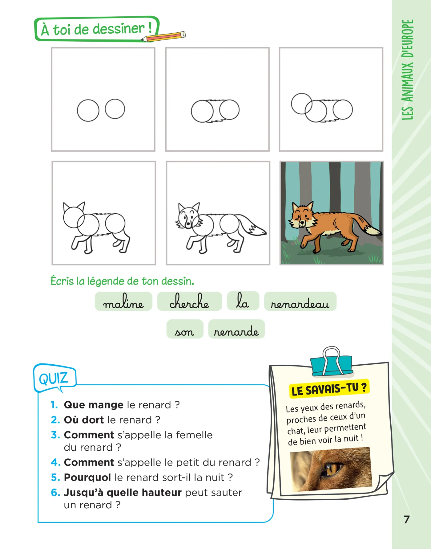 Image du produit 26