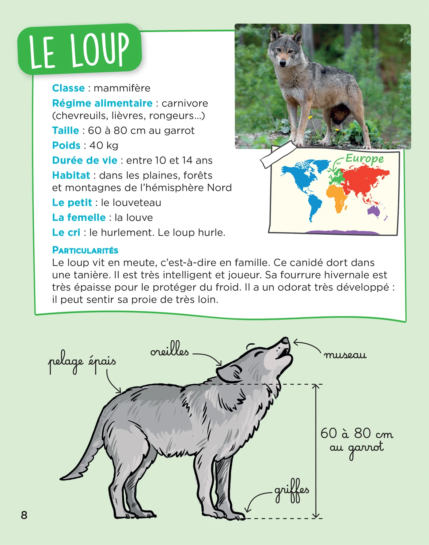 Image du produit 27