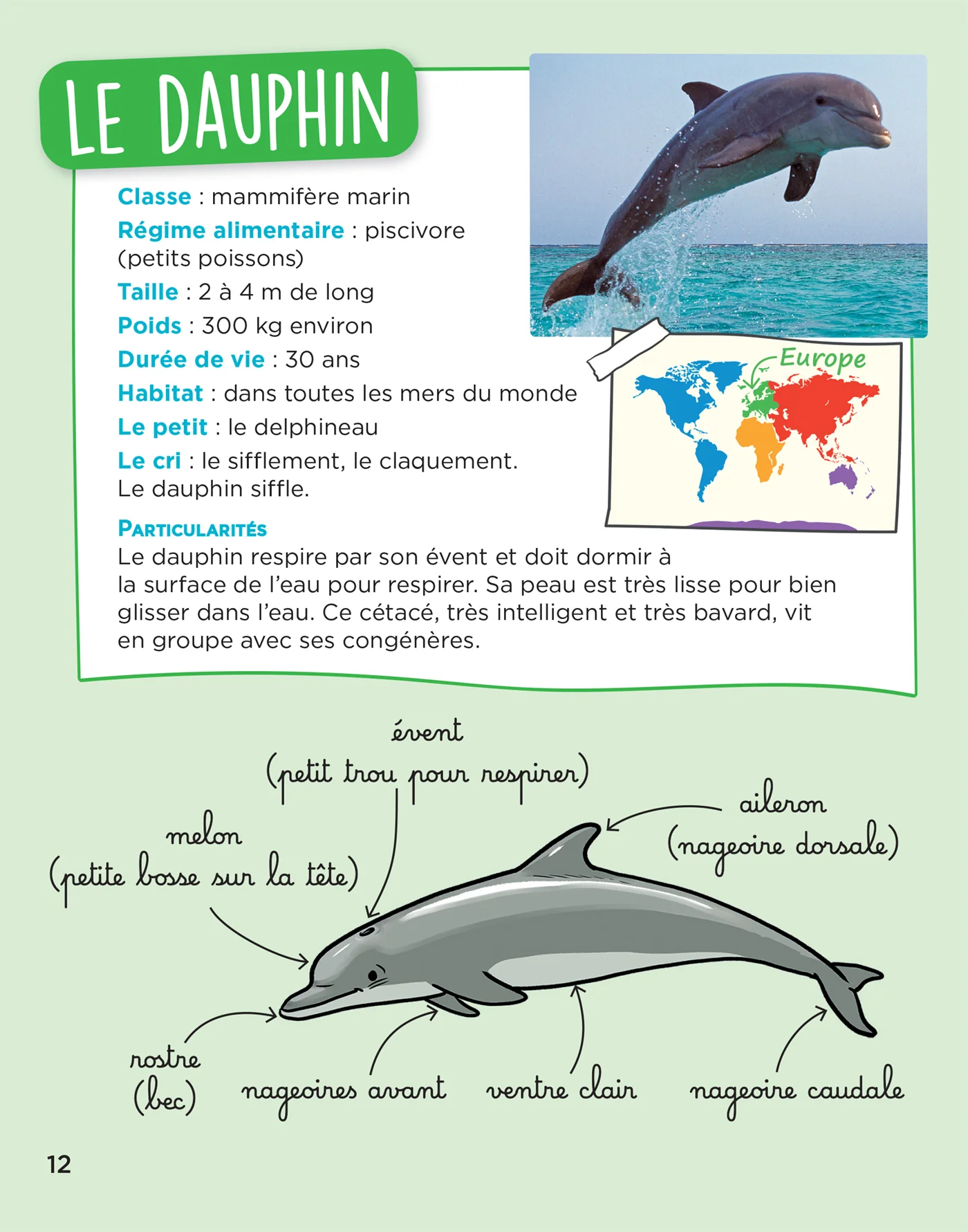 Image du produit 31