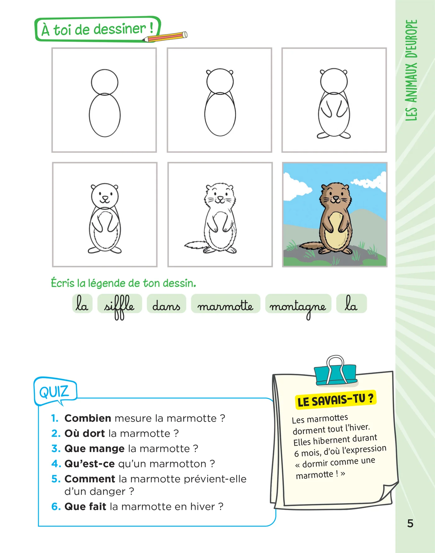 Image du produit 41