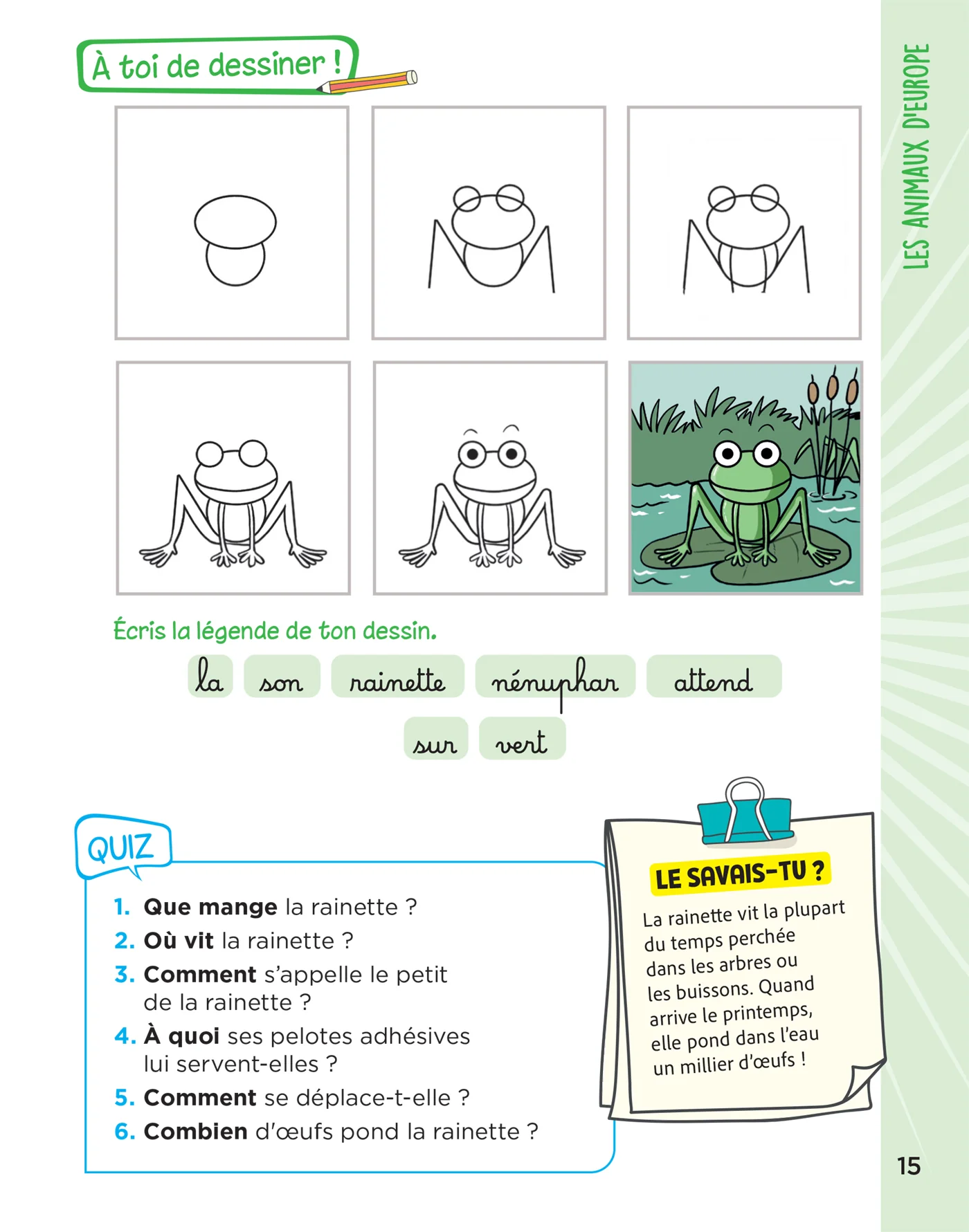 Image du produit 51