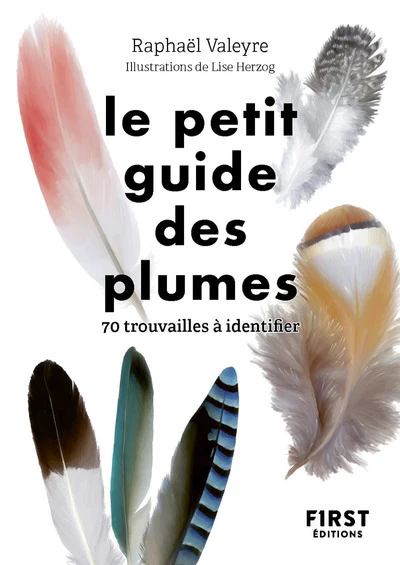 Image du produit 21