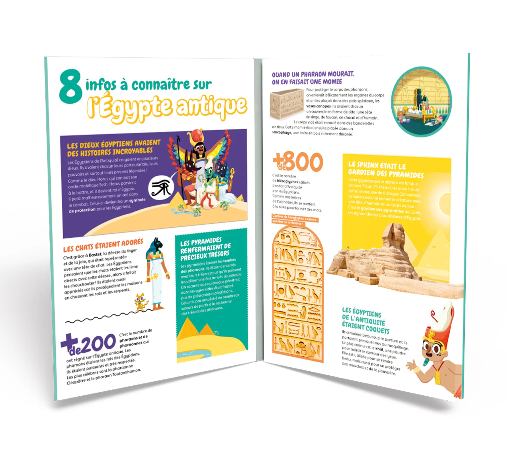 Image du produit 13