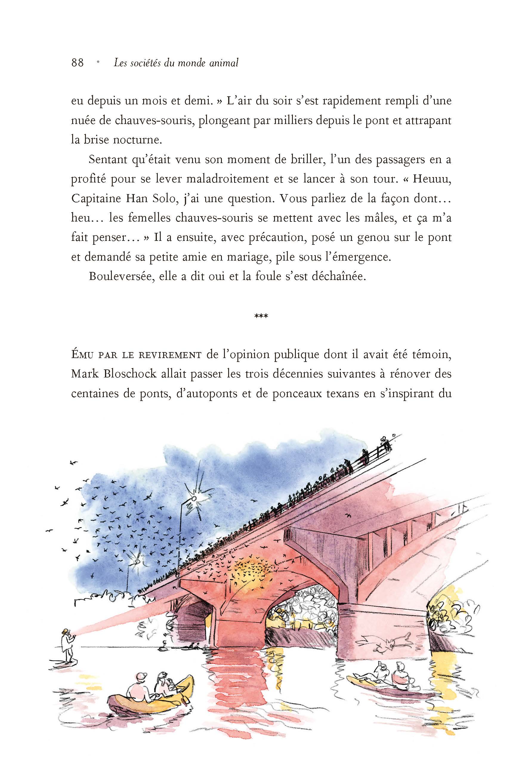 Image du produit 18