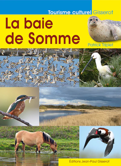 Image du produit 5