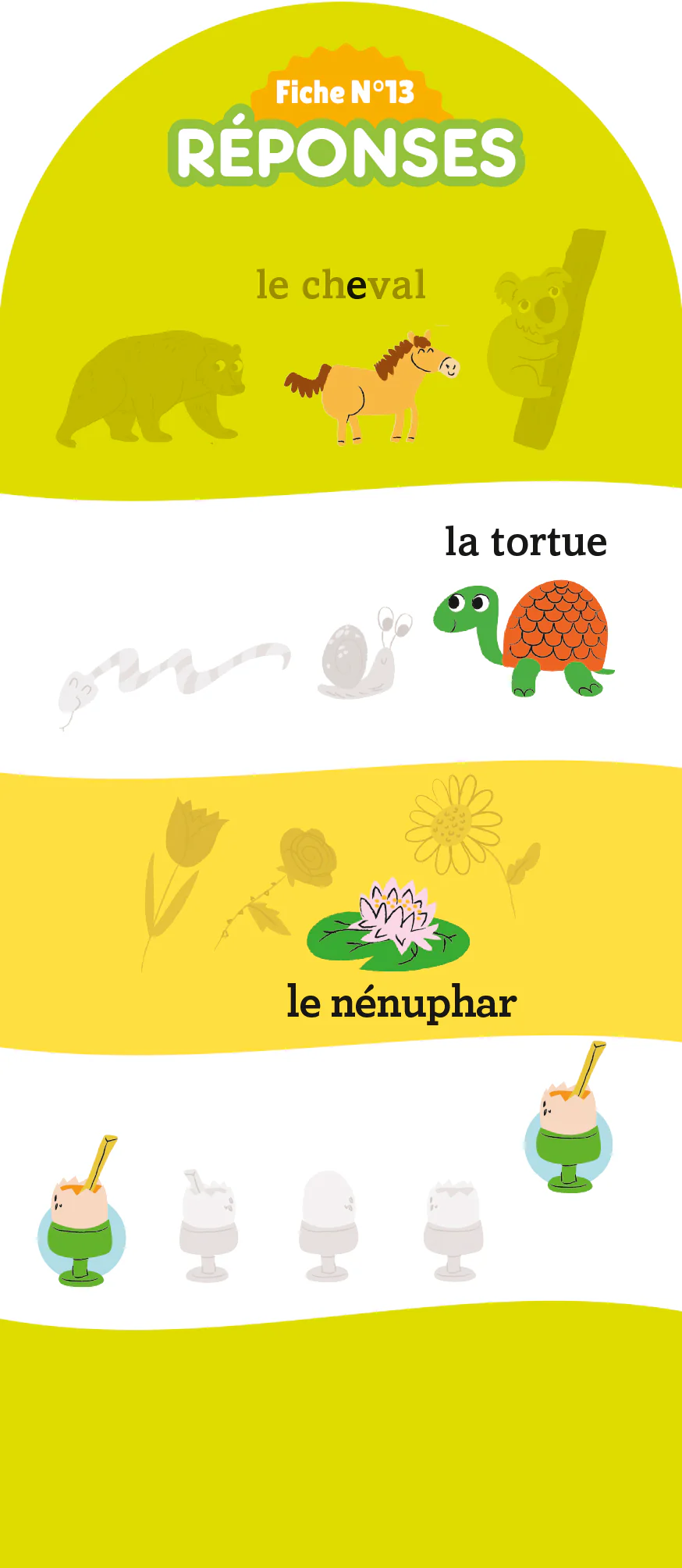 Image du produit 24