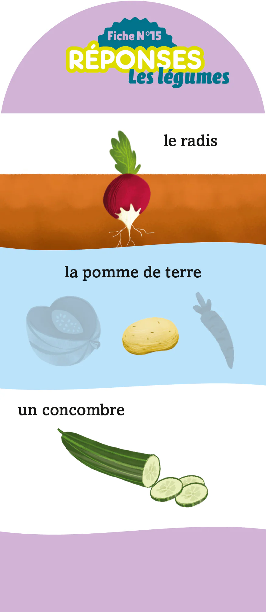 Image du produit 15