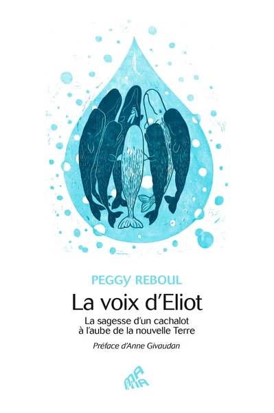 Image du produit 15