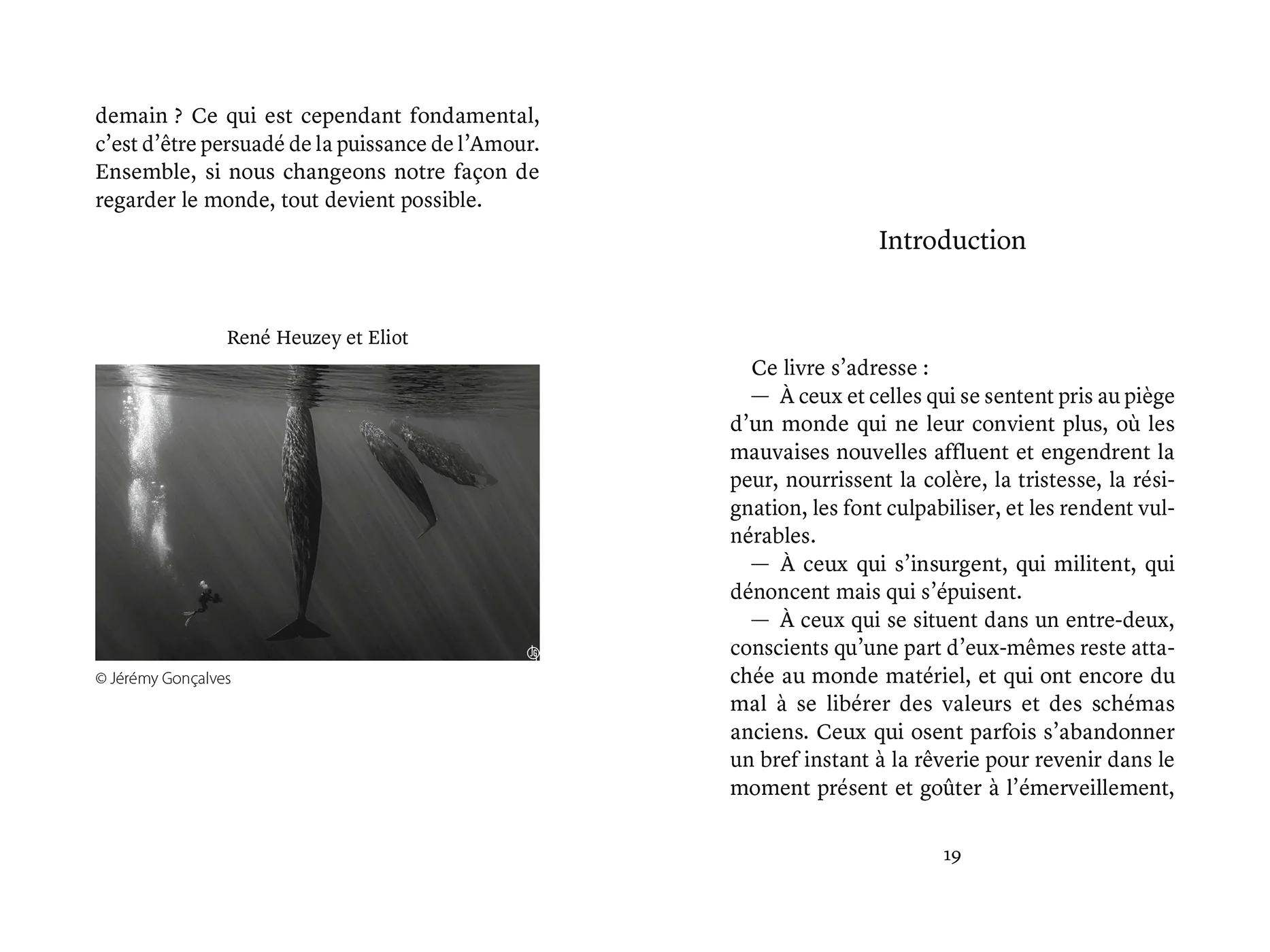 Image du produit 33