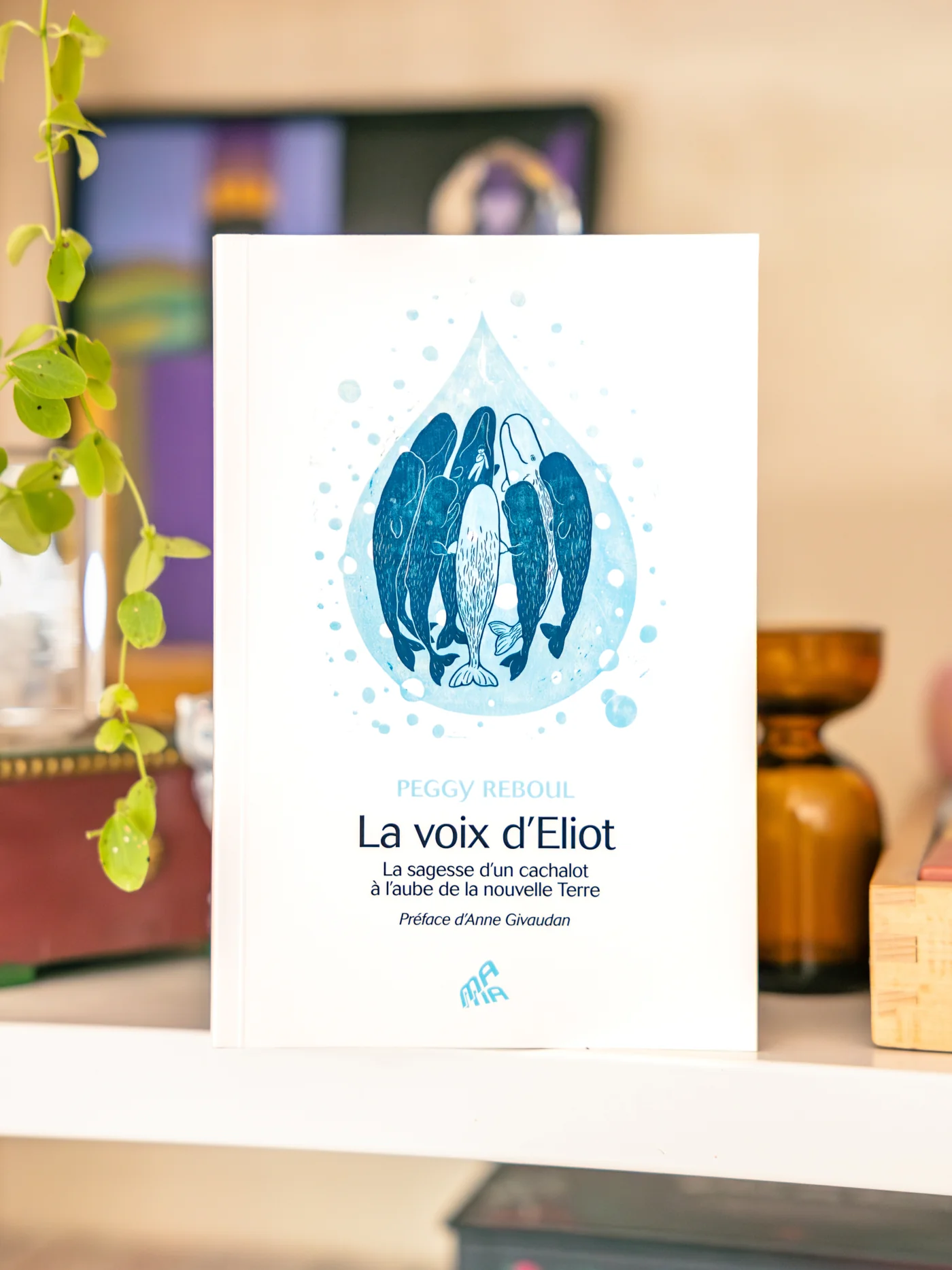Image du produit 36