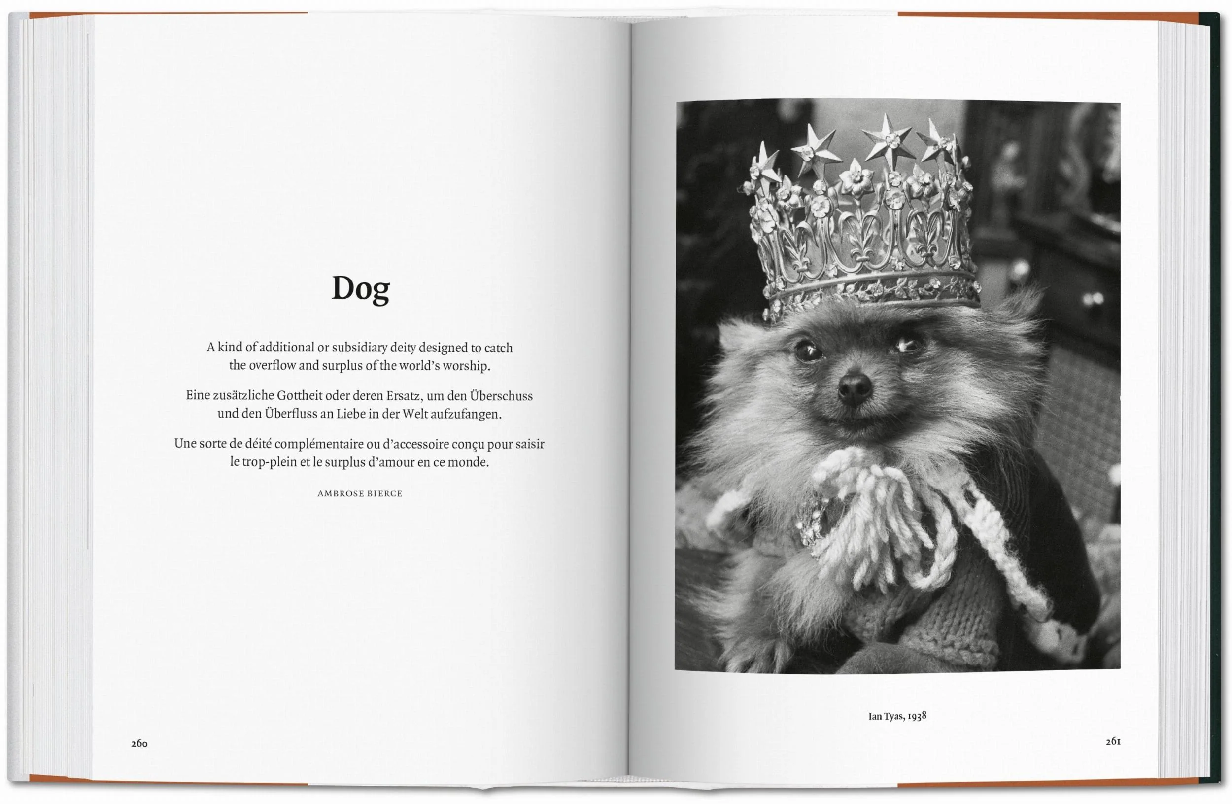 Image du produit 32