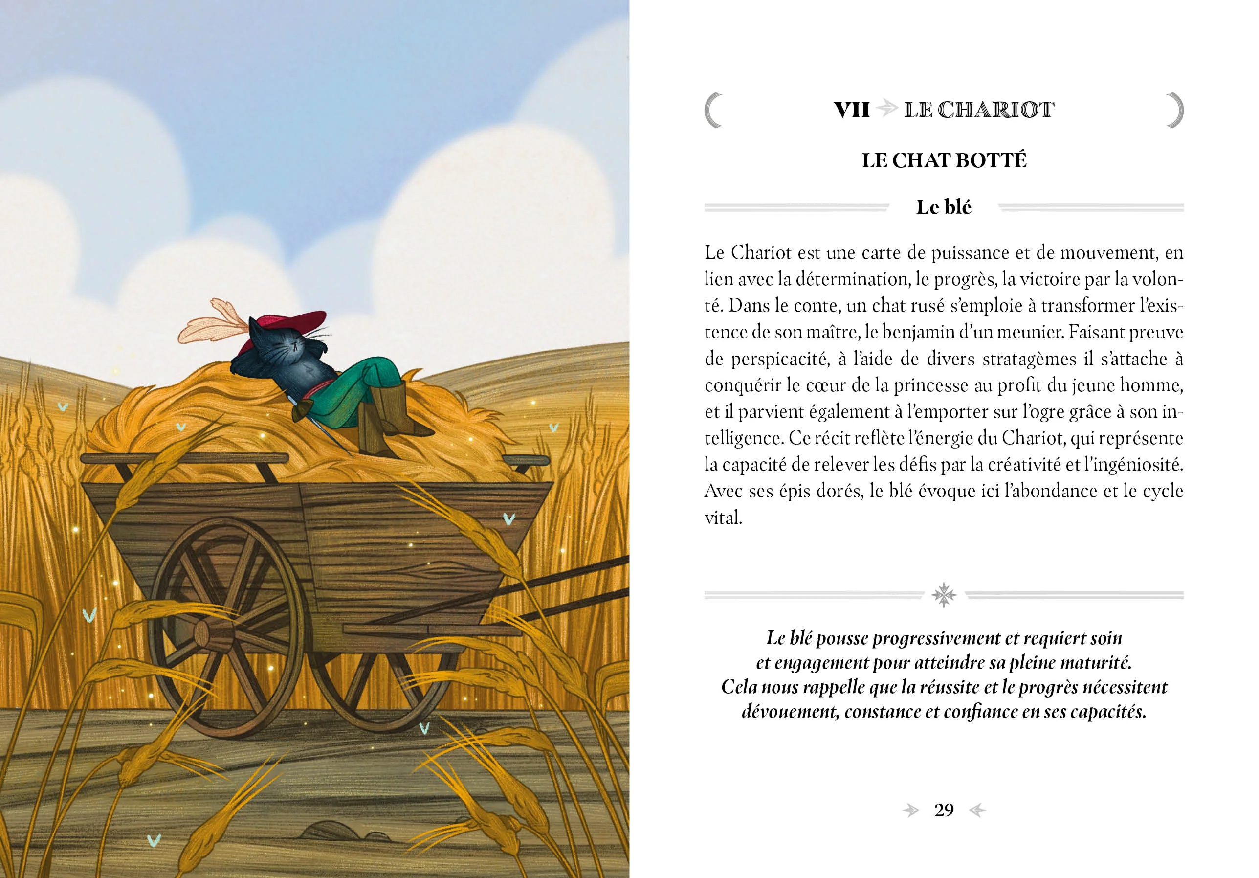 Image du produit 92