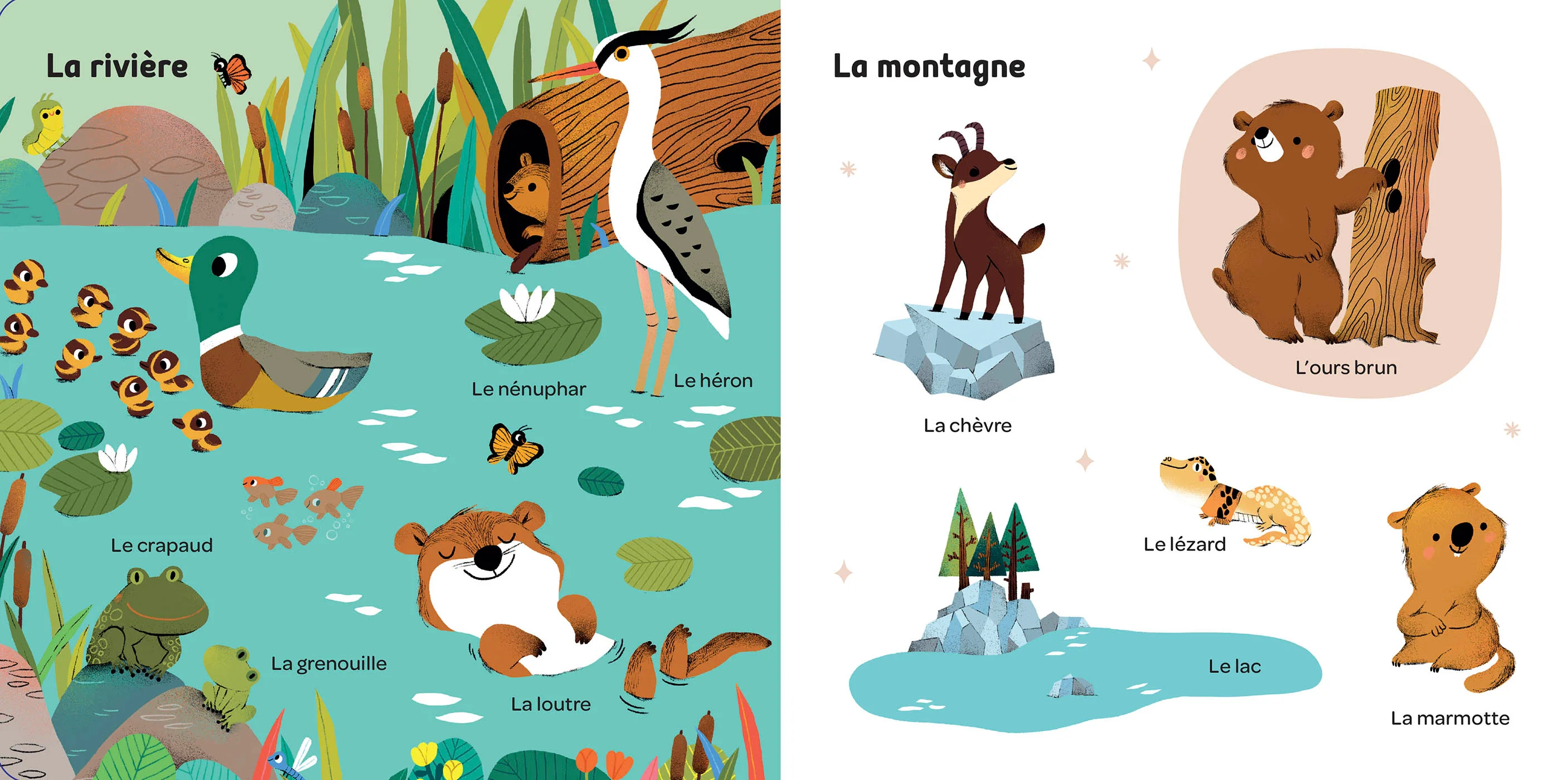 Image du produit 20