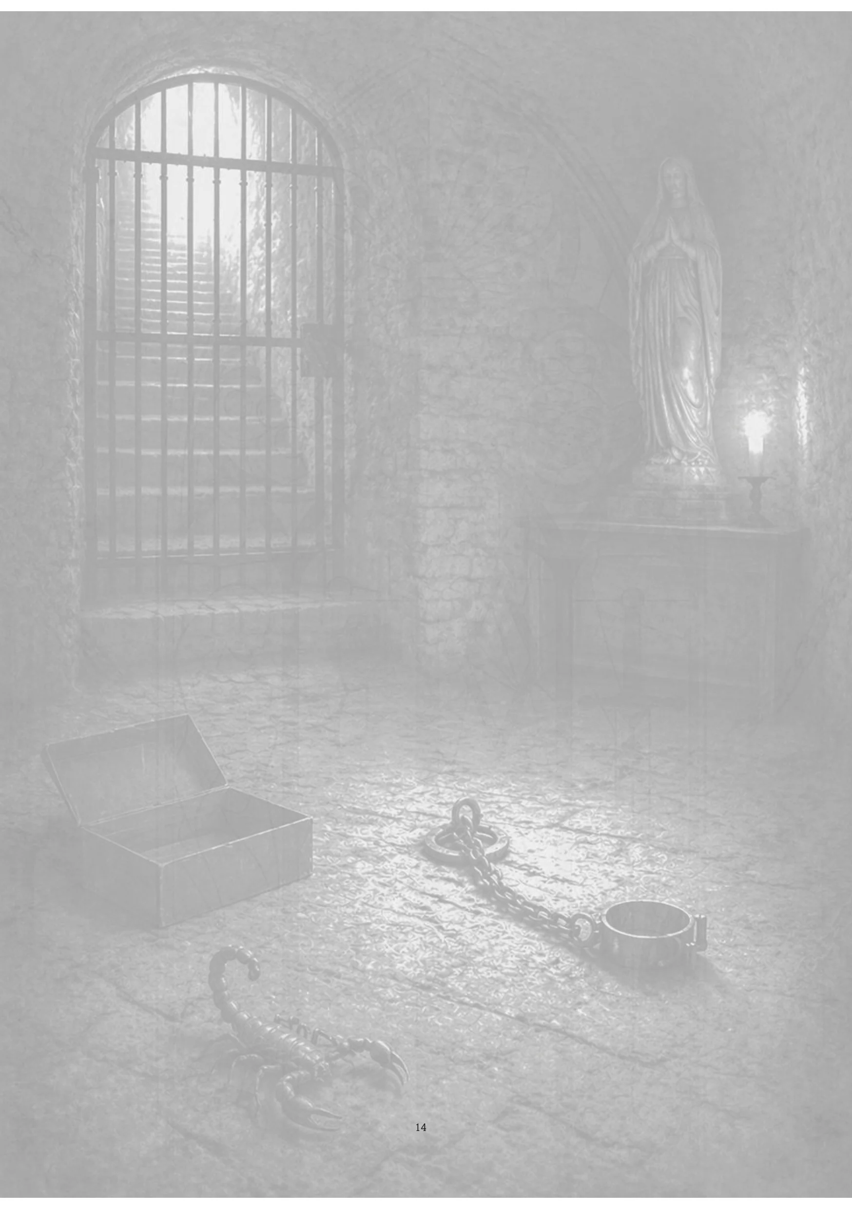 Image du produit 25