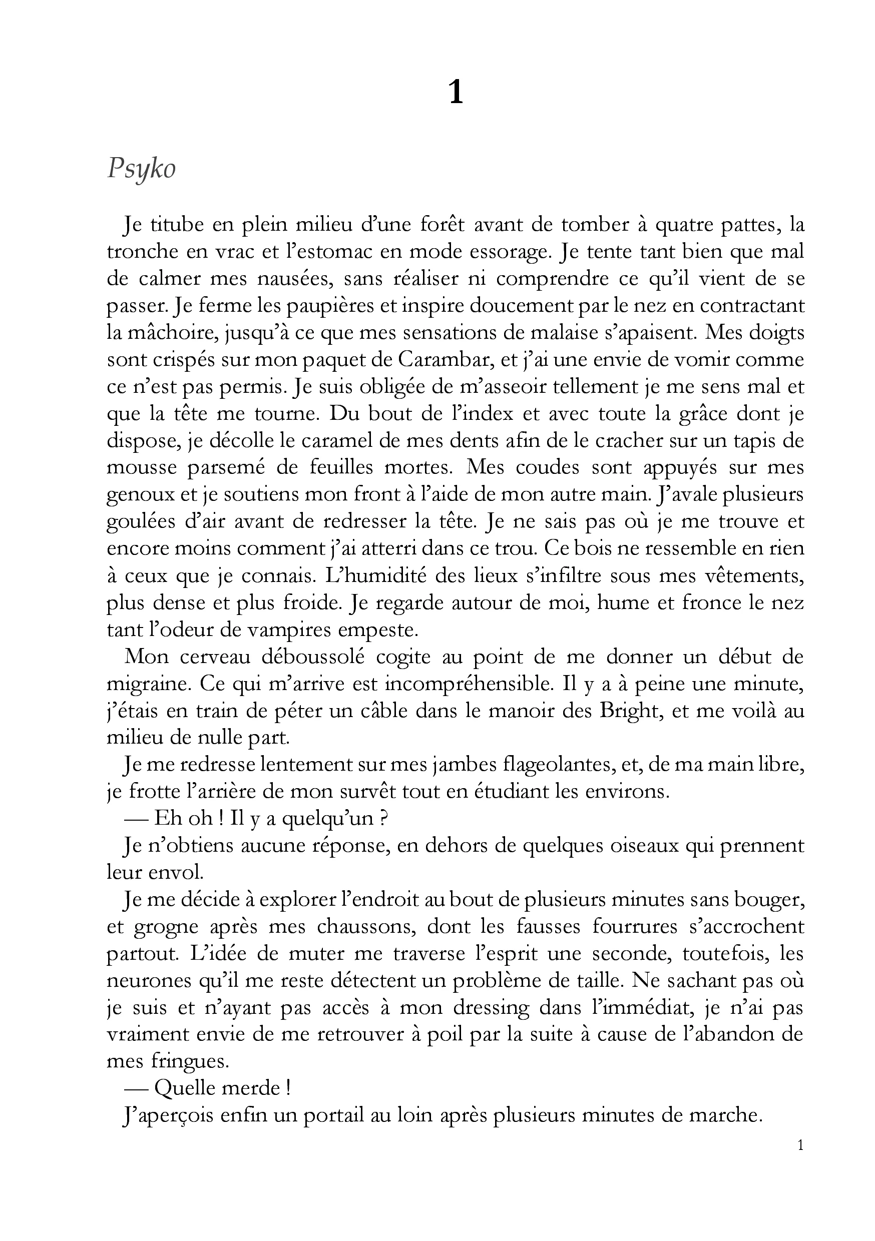 Image du produit 10