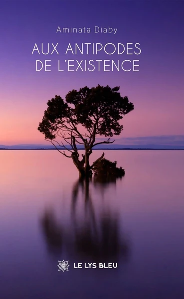 Image du produit 13