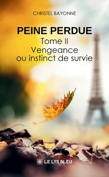 Image du produit 13