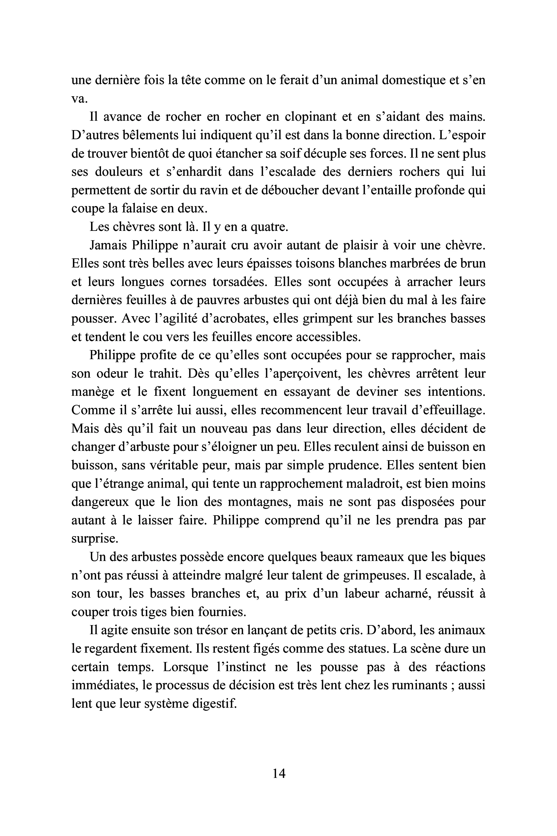 Image du produit 37