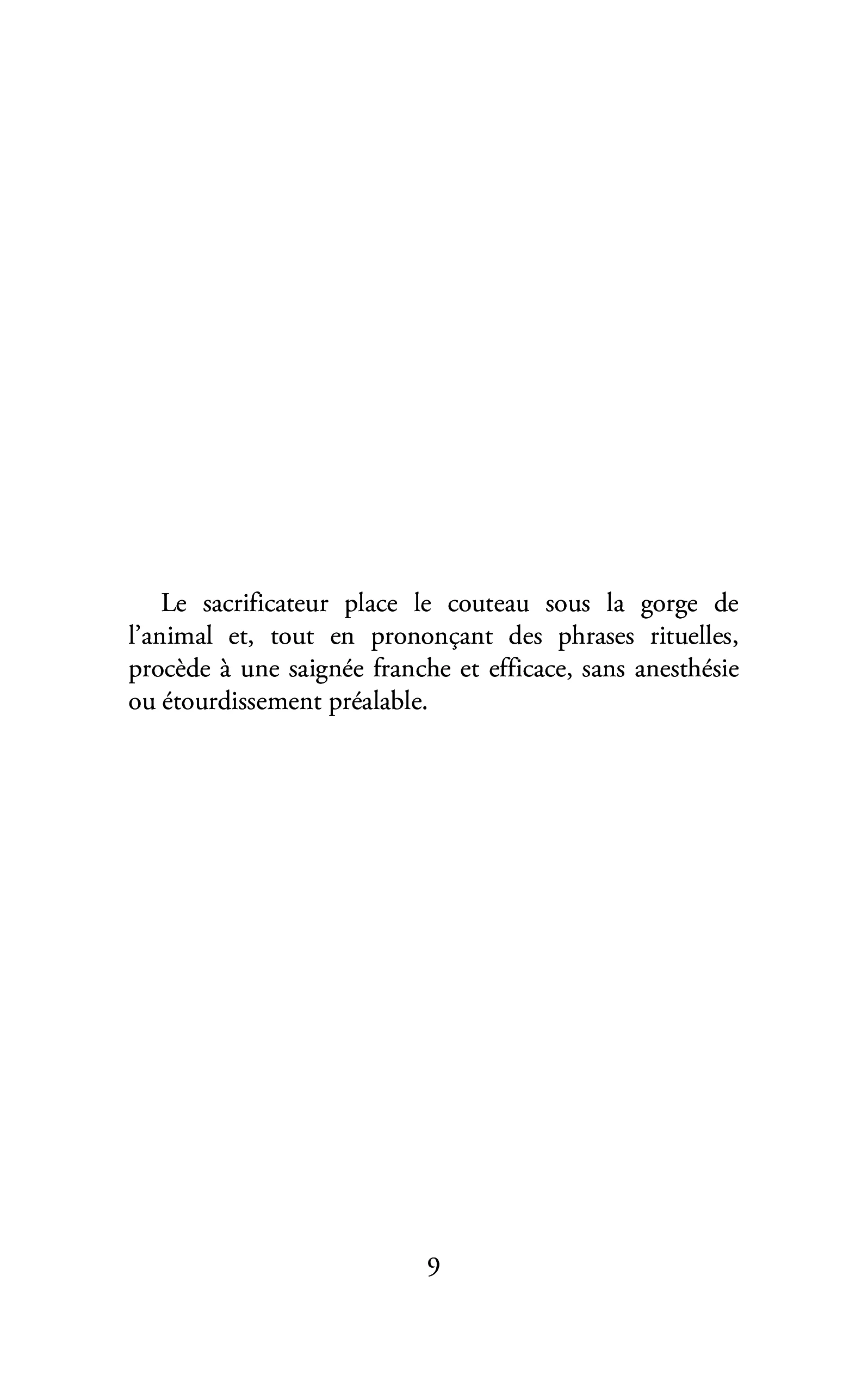 Image du produit 32